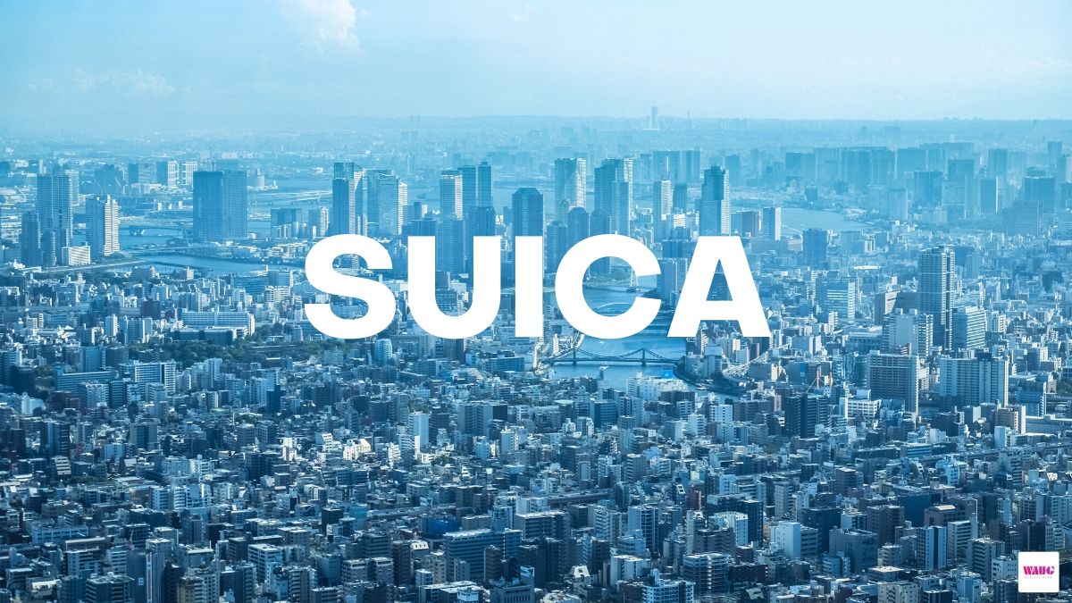 Grab This Suica Card For Your Japan Trip