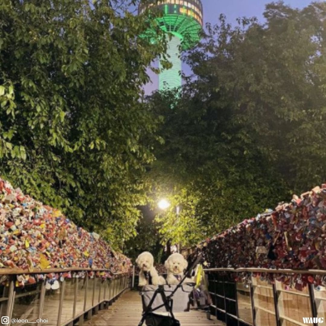 Namsan Seoul Tower Entrance Fee Visiting At Night namsan-seoul-tower-entrance-fee-visiting-at-night