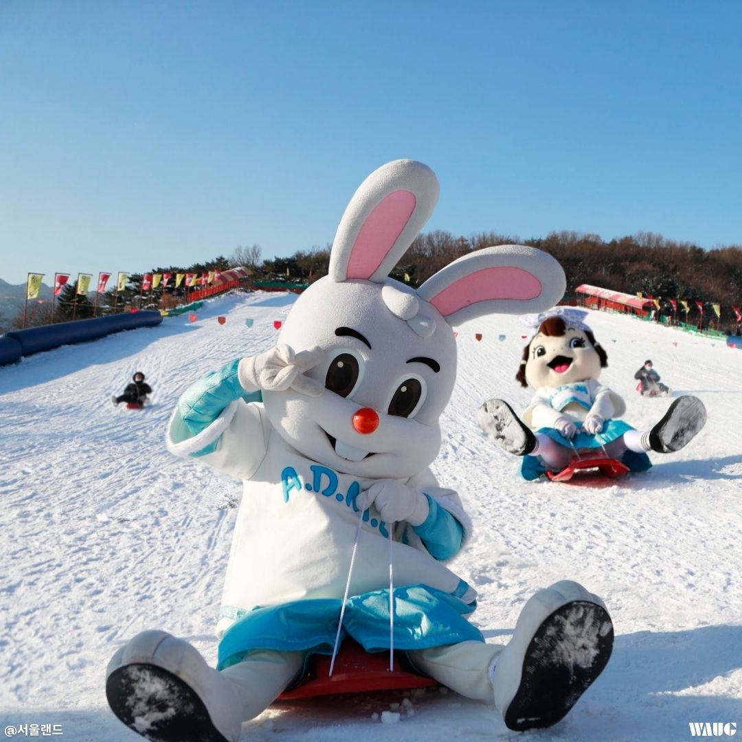 Visit the Sled Park in Seoul Land for Your Last Winter Hurrah